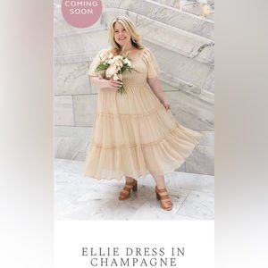 Ivy City Co  BNWT size Large - Ellie dress in Champagne